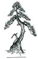 Άβαταρ μέλους