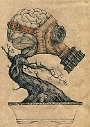 Άβαταρ μέλους