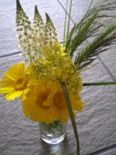 Άβαταρ μέλους